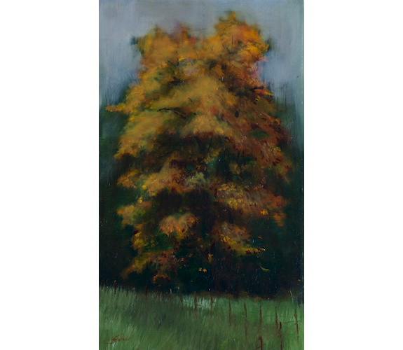 "Autumn Maple" by Carla Paine